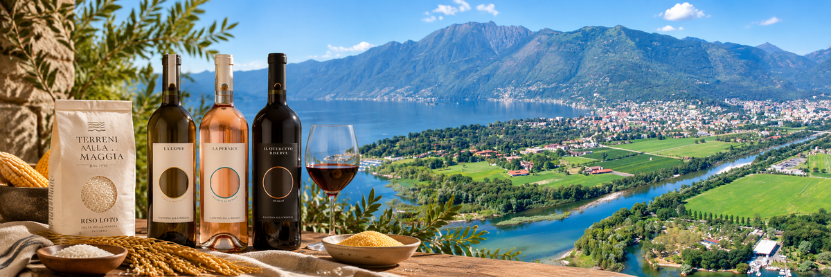 Cantina alla Maggia: il Merlot che nasce nel Delta