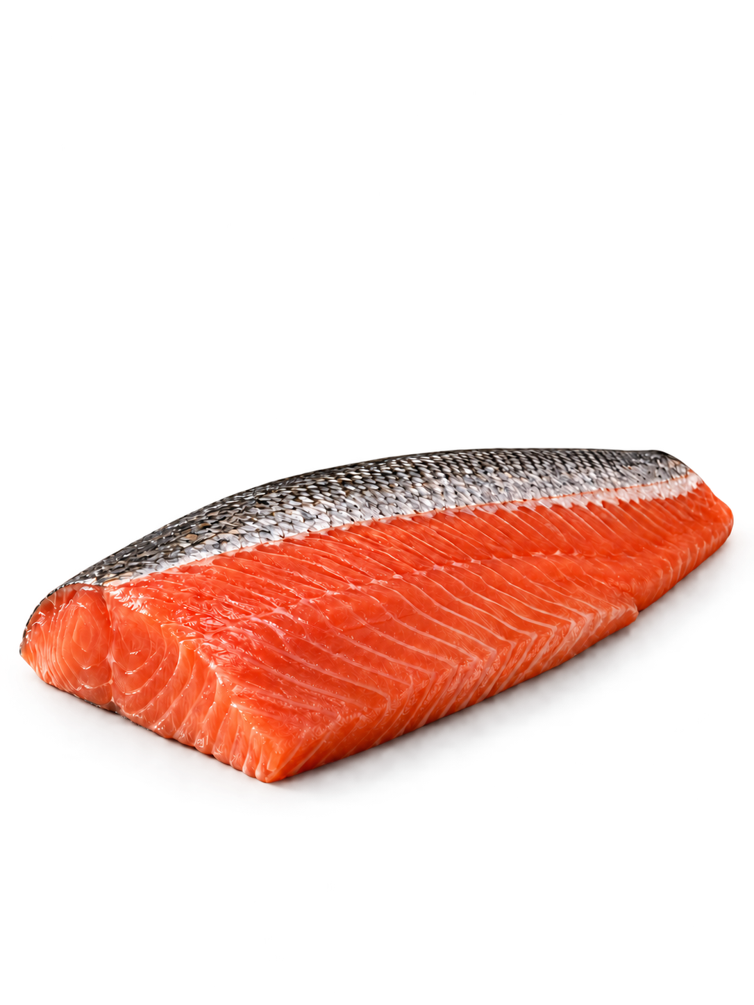 Salmone Coho selvaggio crudo – Wild Salmon