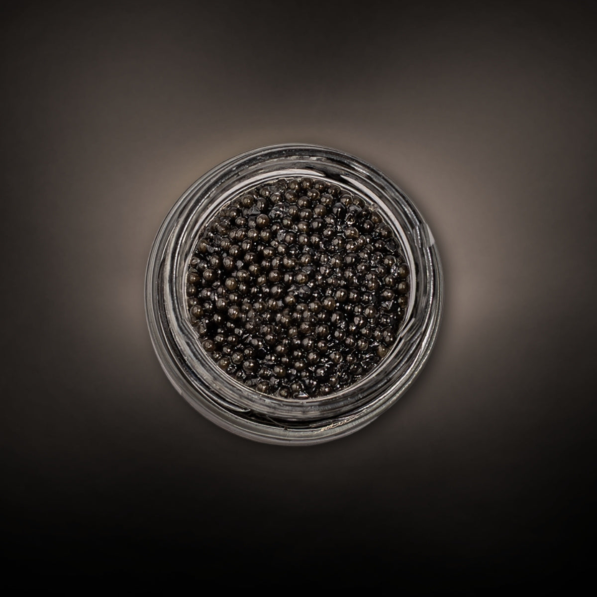 Caviale Oona N°104 – intense