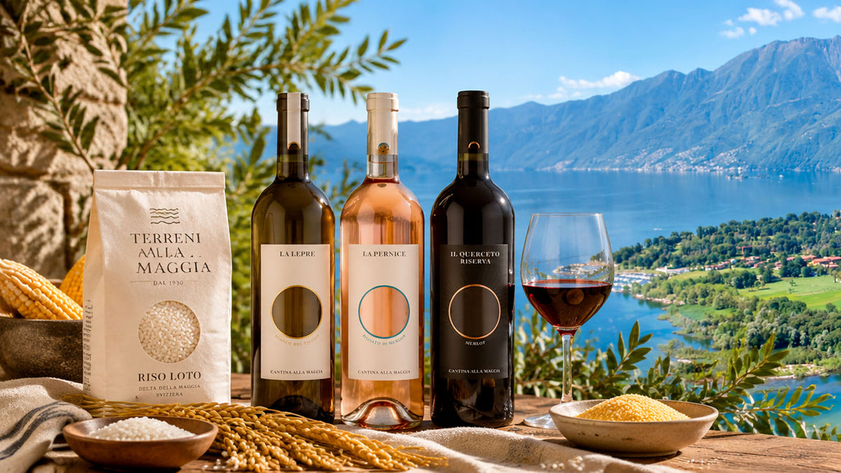 Cantina alla Maggia: il Merlot che nasce nel Delta