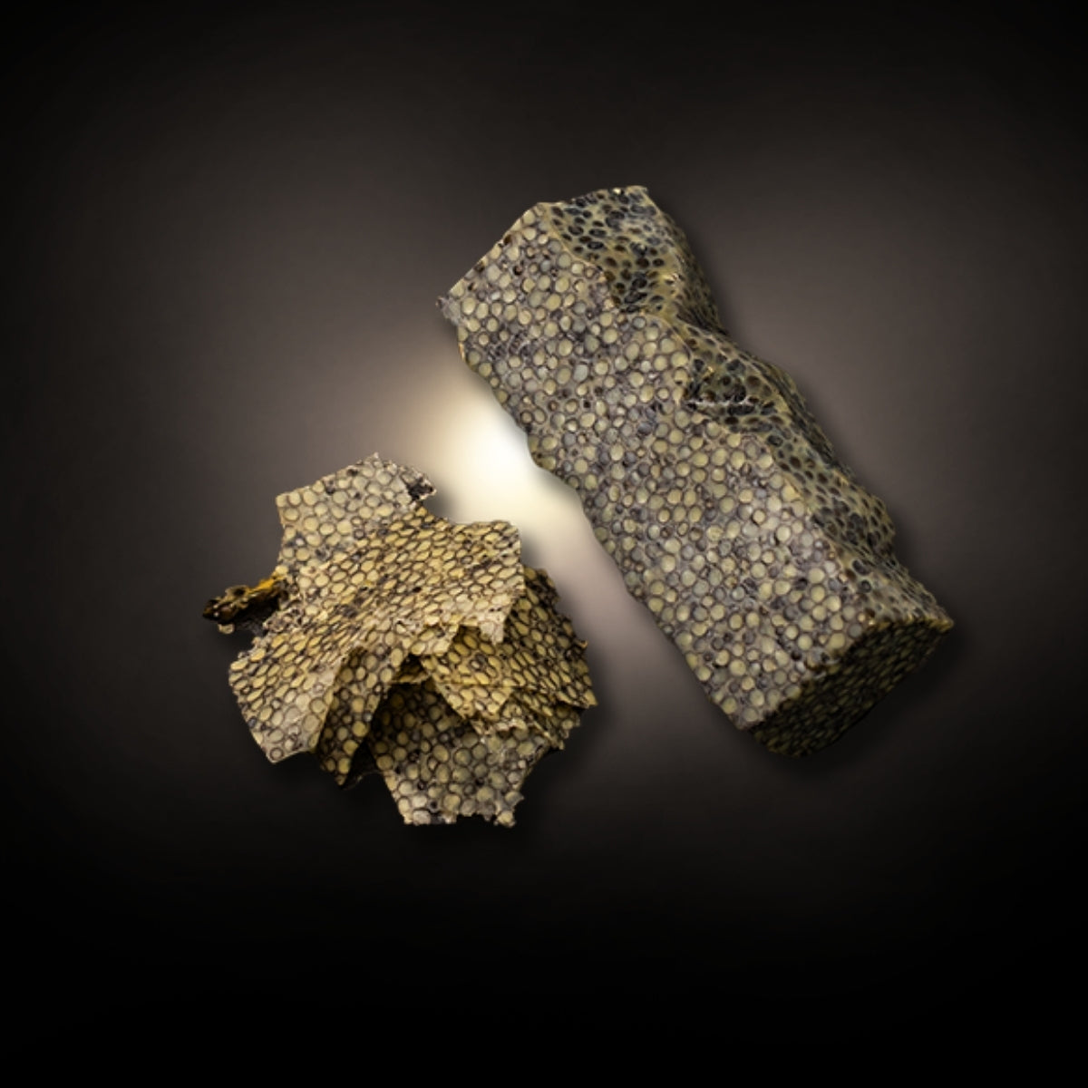 Bottarga de Caviar Oona