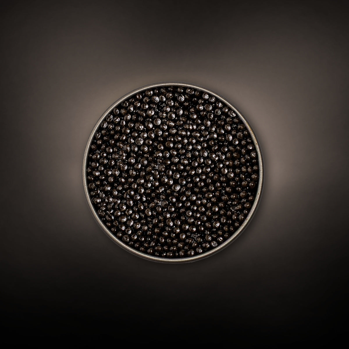 Caviale Oona N°103 – classic